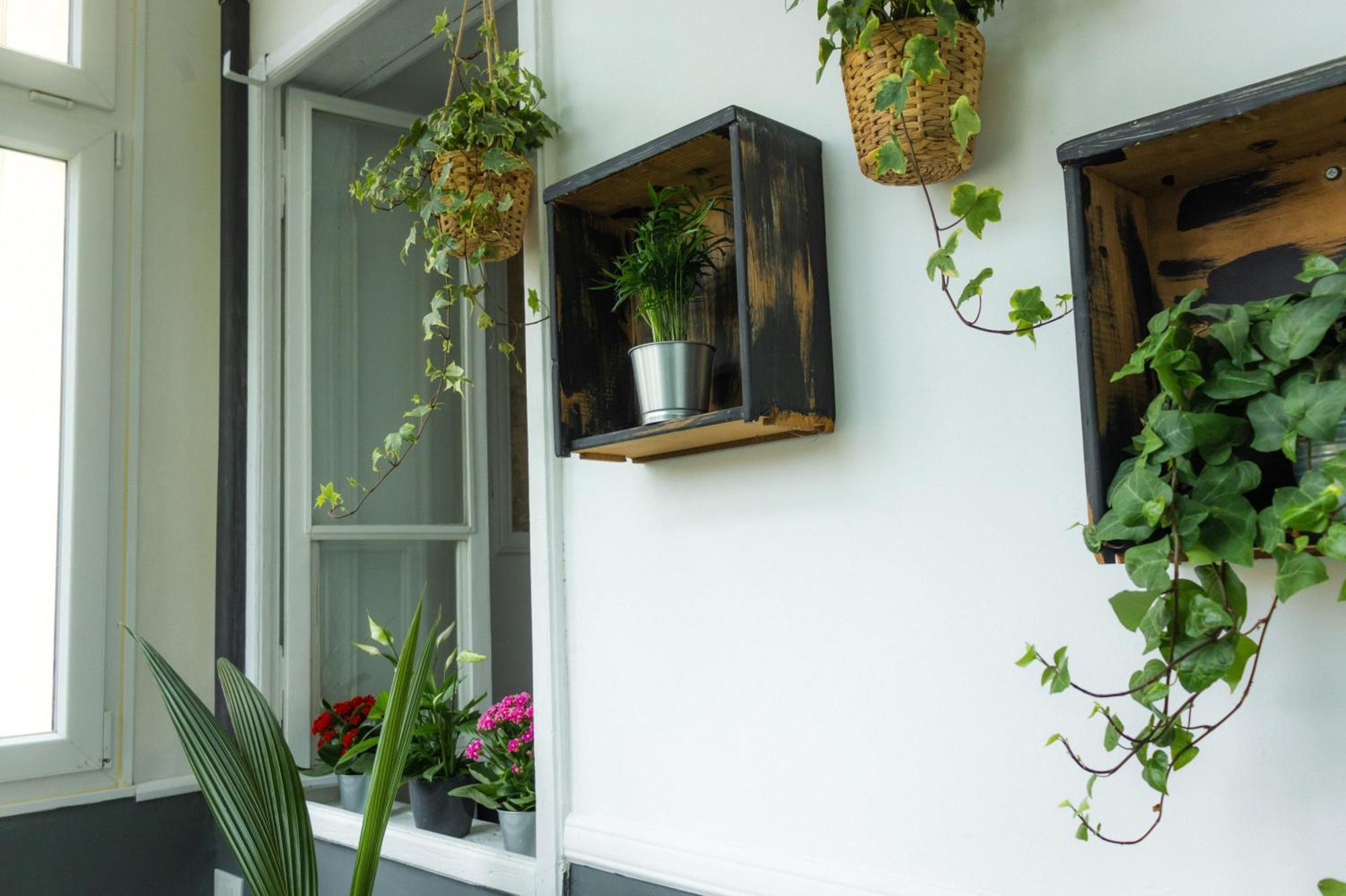 Saint Jack Luxury Apartment Триест Екстериор снимка