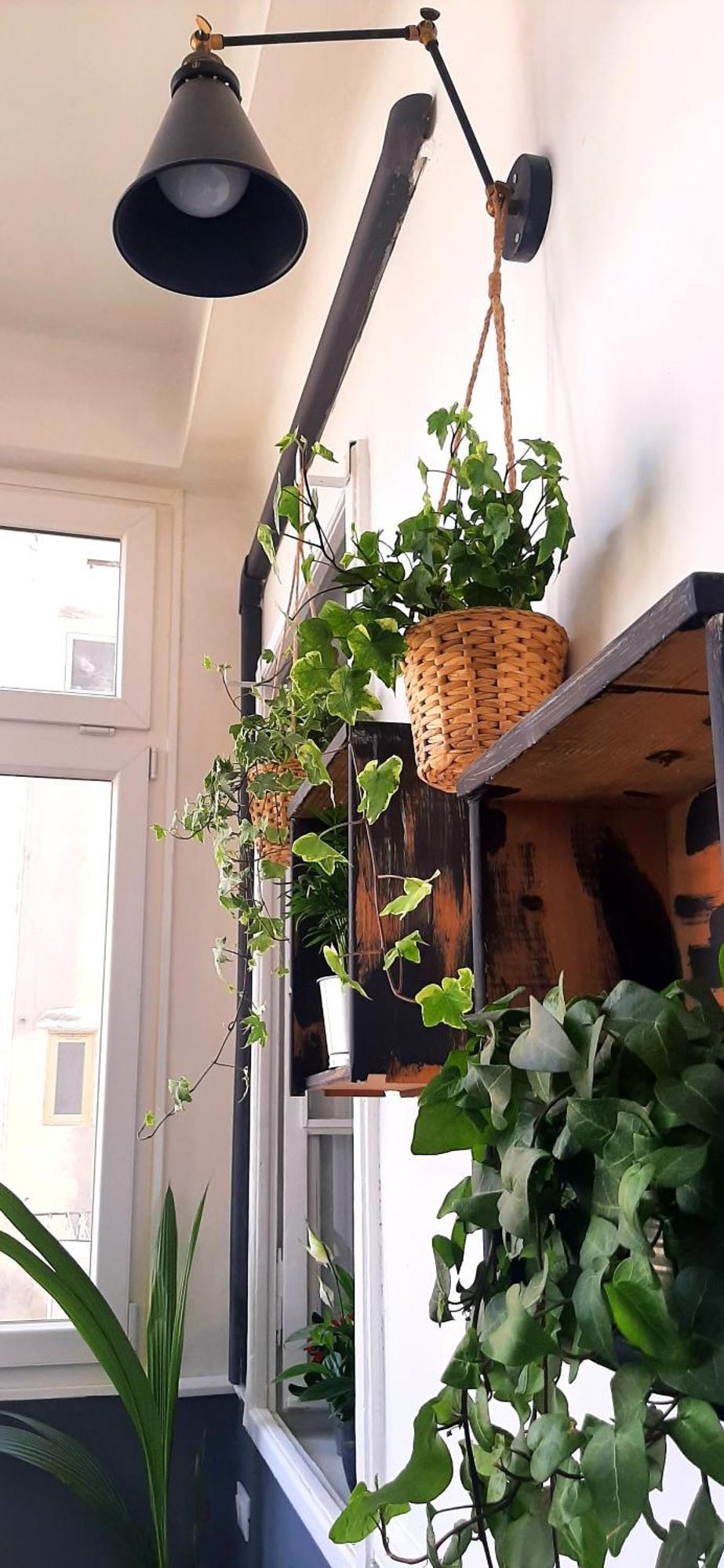 Saint Jack Luxury Apartment Триест Екстериор снимка